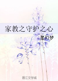 《(BL/家教同人)家教之守護之心》