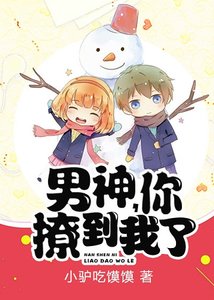 《男神 ,你撩到我了》