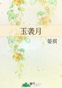 《玉袭月》