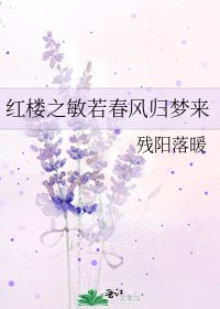 《紅樓之敏若春風歸夢來》