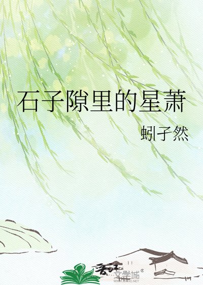 《石子隙里的星萧》